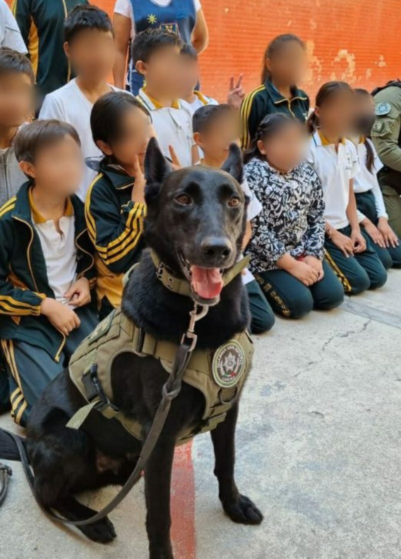 Con resultados favorables cierra Guardia Civil Estatal labores de prevención en escuelas escuel-1-1