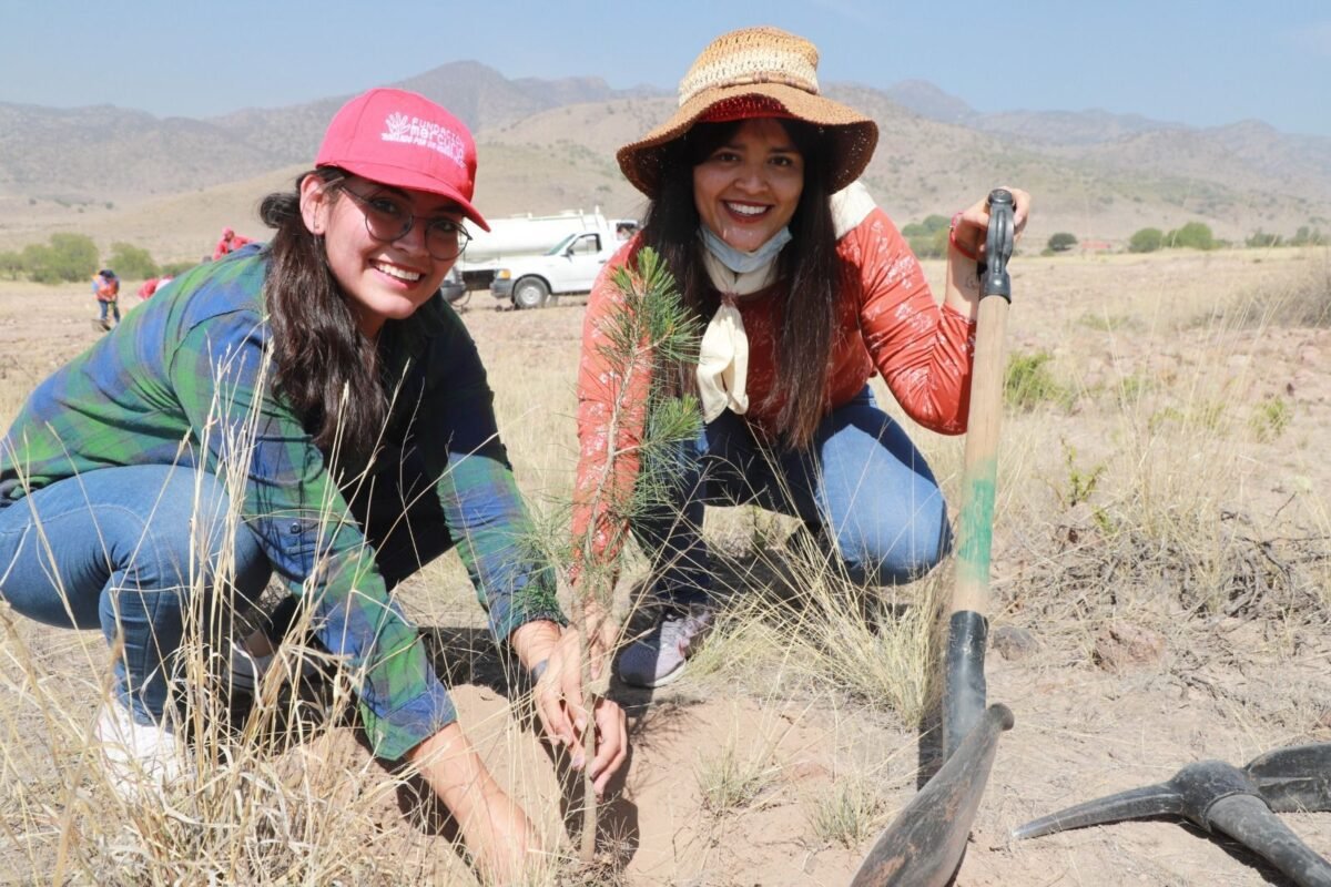 WhatsApp Image 2023-08-12 at 11.19.54 AM