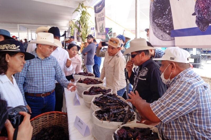 Todo listo para la Expo Agrícola y Ganadera 2023 del Gobierno de la Capital en la Delegación de Bocas bocas-1