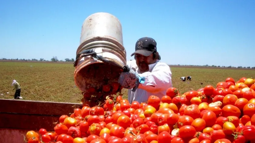 tomate_inflacixn_mx.jpg_989390146