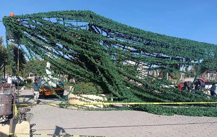 3036951.jpeg_793492074