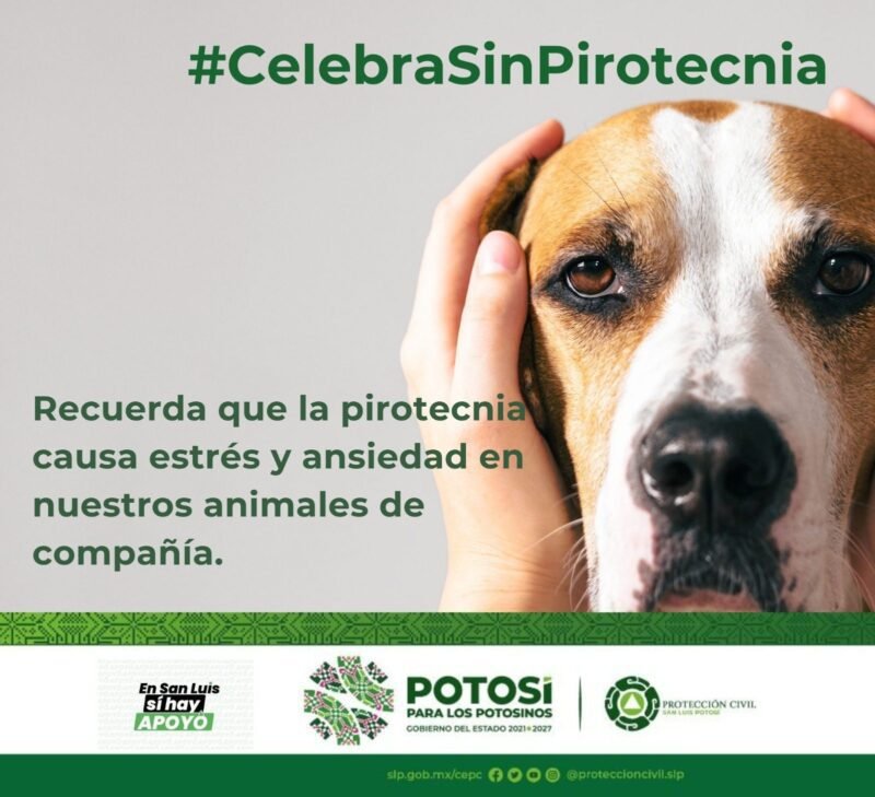 760de485-81b9-44d5-b894-44f3181e7464