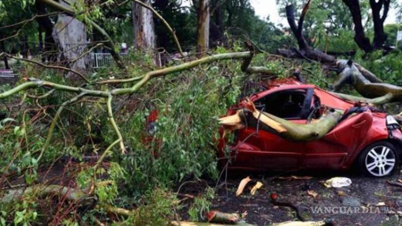 Fuerte tormenta azota Buenos Aires; se declara en estado de emergencia y luto tras muerte de 14 personas image-1_1-7796405_20231218030204