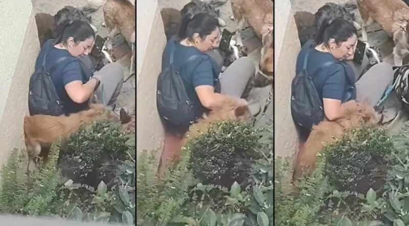 Captura de pantalla 2024-01-20 093442