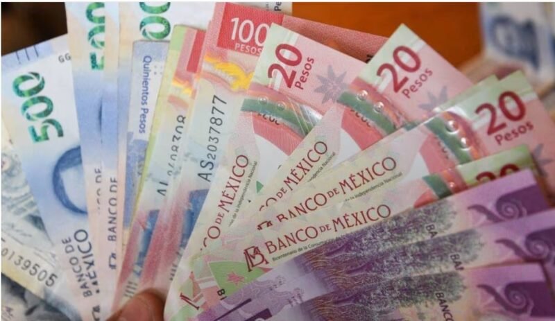 Estas son las fechas y requisitos para el reparto de utilidades Captura de pantalla 2024-02-24 091242