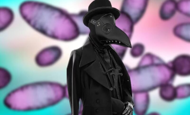 Captura de pantalla 2024-03-13 090305