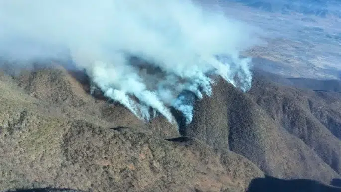 Gobierno de Oaxaca anuncia “plan emergente” tras incendio forestal que dejó cinco muertos f685x385-194556_232249_5050