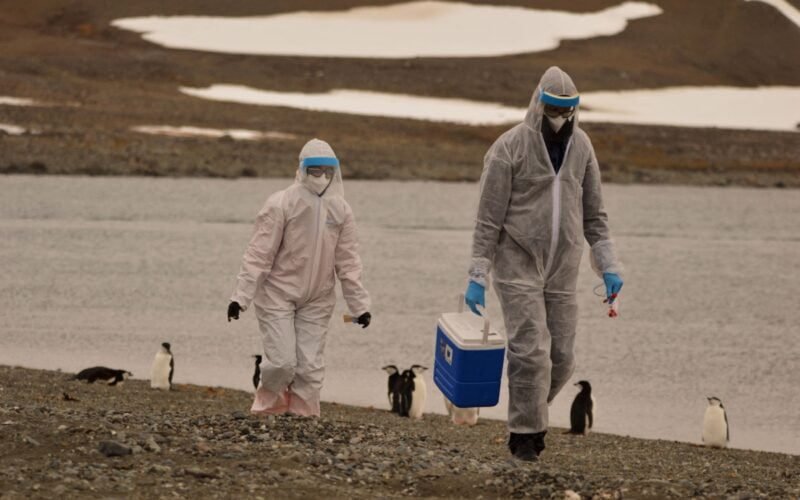 gripe-aviar-oms-07052024