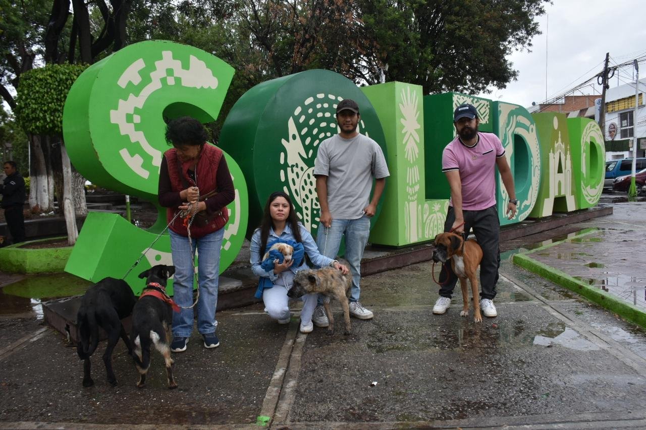 Soledad de Graciano Sánchez promueve dignidad animal, con adopción canina y felina adopcion canina en solidad