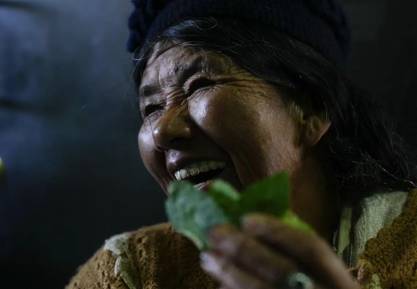 Nace en Bolivia una cerveza hecha de hoja de coca, una planta cargada de energía y estigma Nace en Bolivia una cerveza hecha de hoja de coca