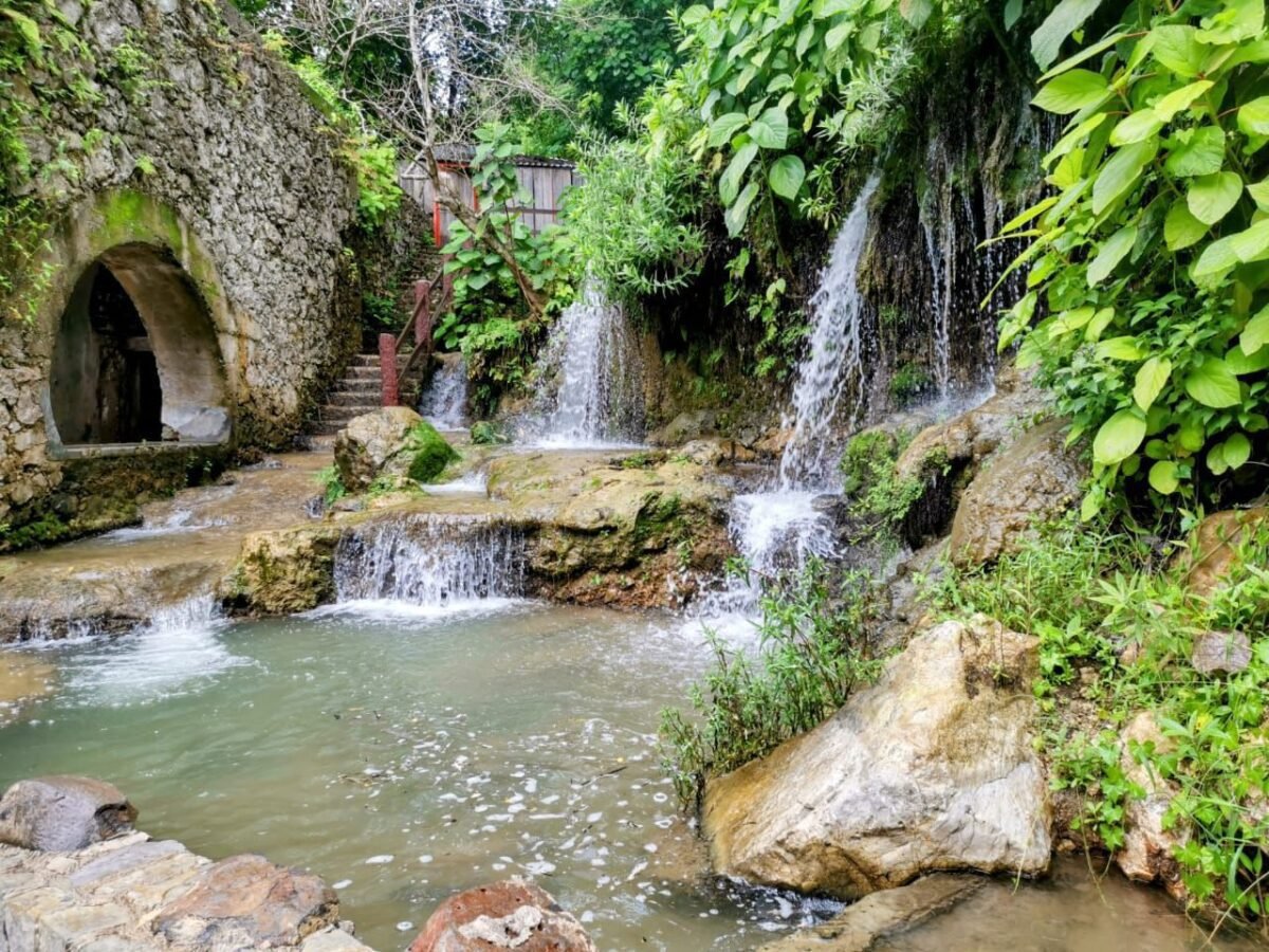 WhatsApp Image 2024-07-24 at 5.35.02 PM