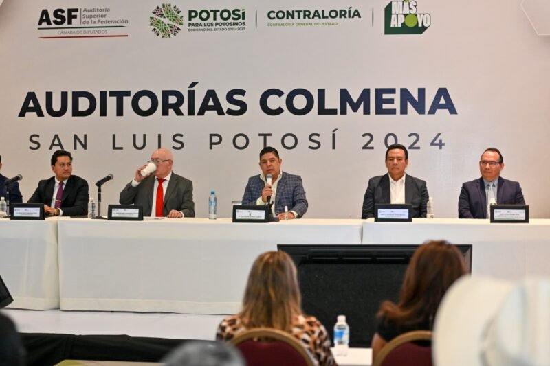 auditorias colmenas gobernador