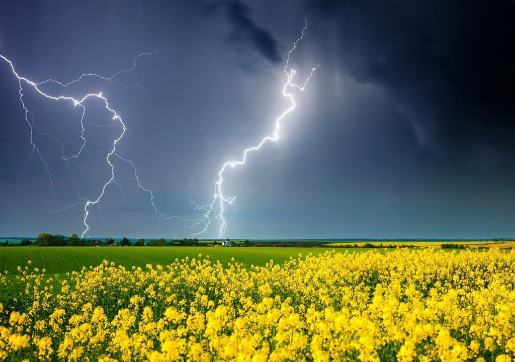 ¡Para esta primavera 2025 Menos calor y más lluvias en México! ¿Qué estados se verán beneficiados? ¡Para esta primavera 2025 Menos calor y más lluvias en México! ¿Qué estados se verán beneficiados?