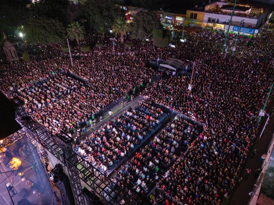 marca registrada en la feanae