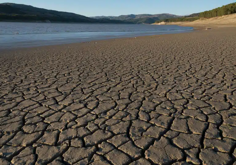 Sequía en México: 64.2% del país afectado por la falta de lluvias