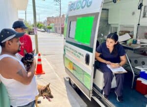 Gobierno de Soledad acerca vacunas antirrábicas gratuitas a mascotas a través de ambudog