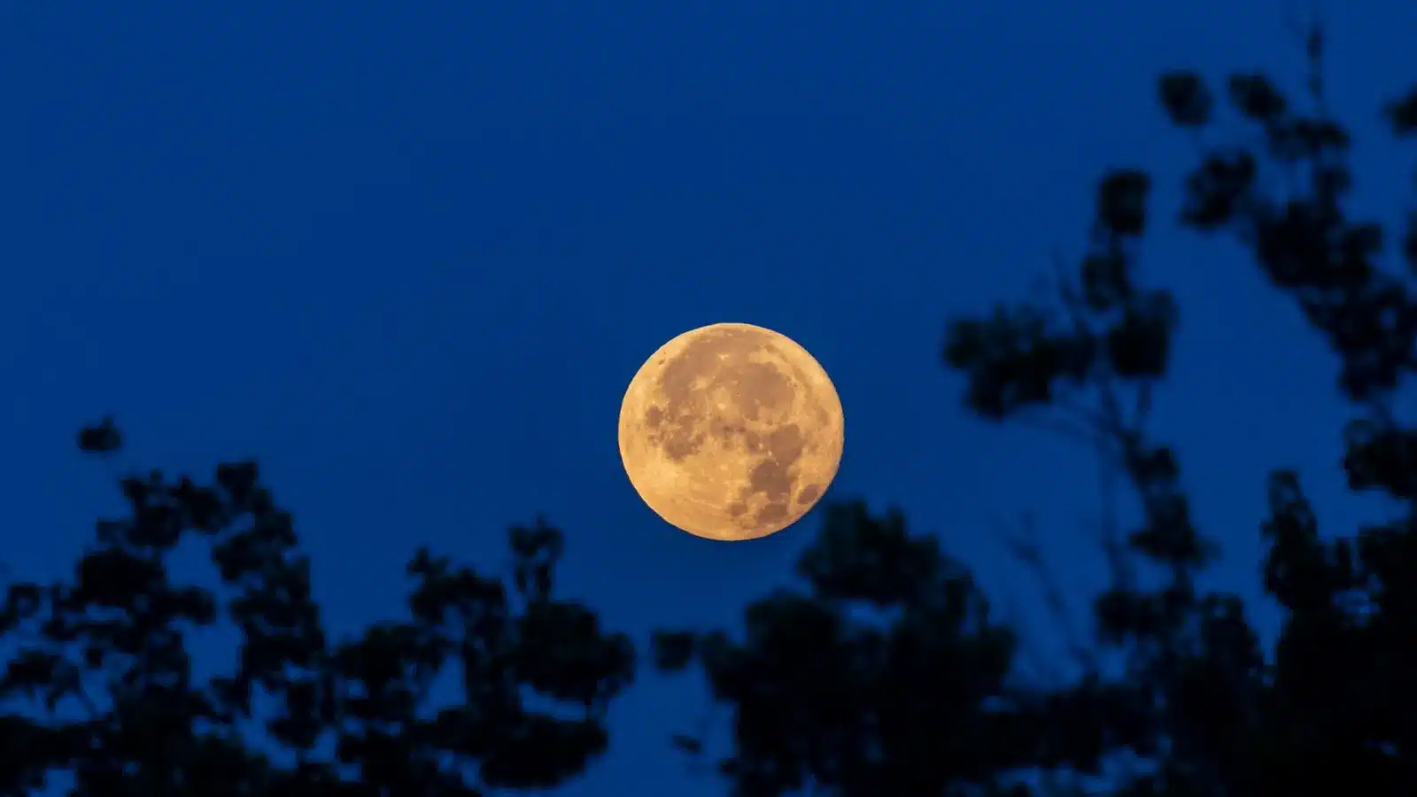 Los fenómenos astronómicos que marcarán el mes de junio de 2025 Los fenómenos astronómicos que marcarán el mes de junio de 2025