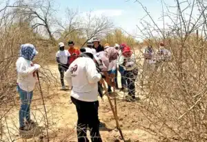 Nuevo hallazgo en Sonora: encuentran cuerpos, restos óseos y ropa en fosas