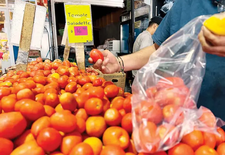 Alarma entre productores por nuevo arancel al tomate