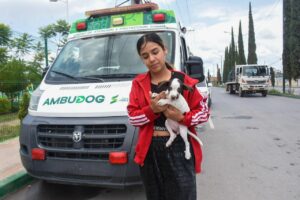 Con atención gratuita y diaria, AMBUDOG garantiza bien estar animal en Soledad.