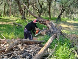 Parques tangamanga fortalecen acciones preventivas