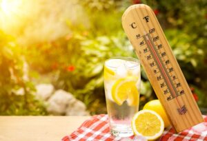 Cómo afecta el calor extremo a nuestra visión