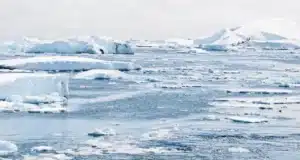 Antártida enfrenta cambios irreversibles por el calentamiento global