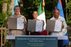 México, Guatemala y Belice crean el Corredor Biocultural de la Gran Selva Maya, el más grande del mundo en su tipo