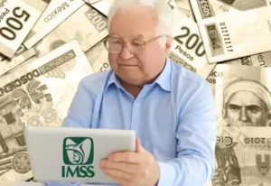 Además de la Renta Vitalicia, ¿qué otras alternativas de pensión ofrece el IMSS?