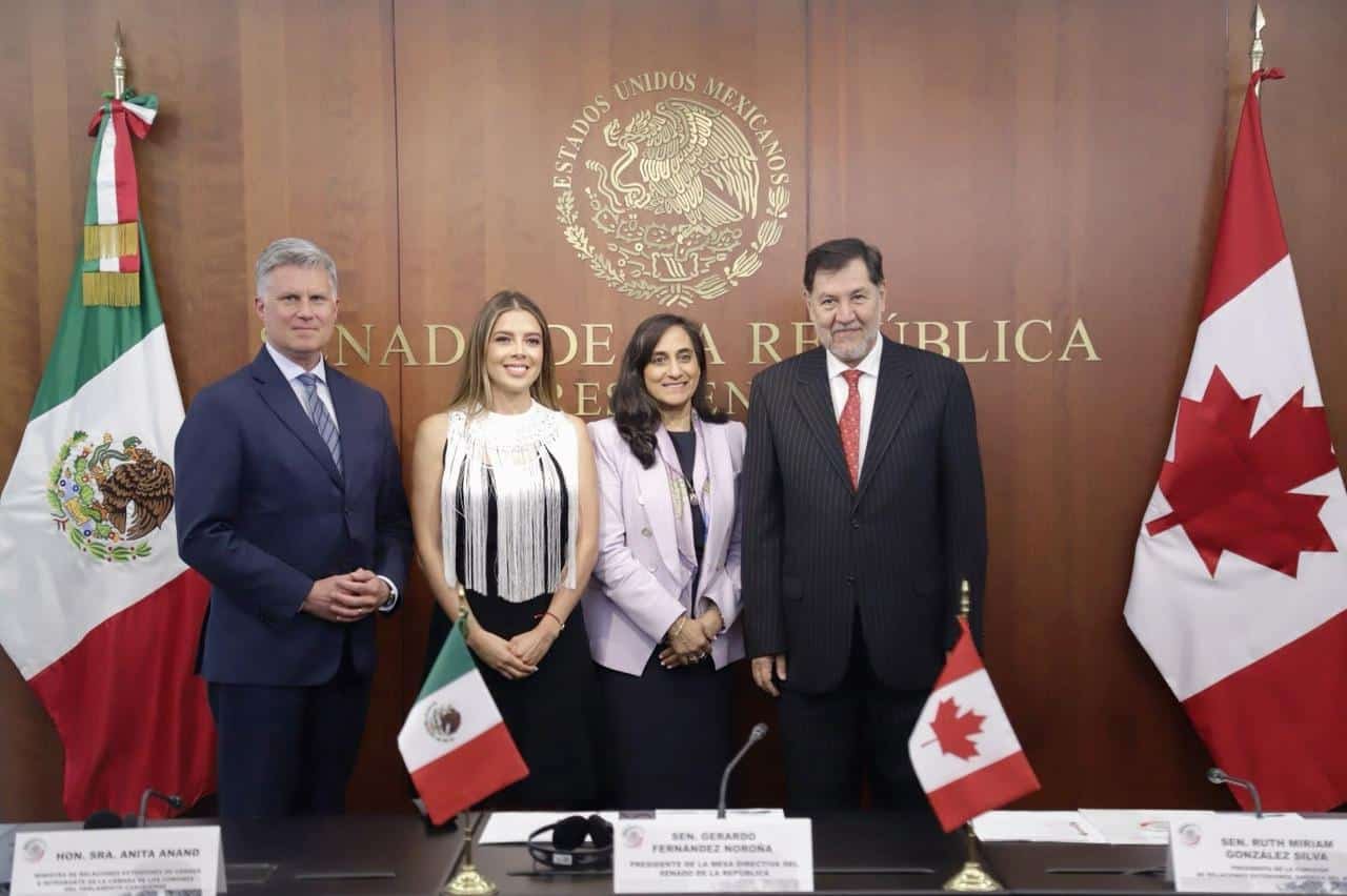 ruth gonzalez tec mec