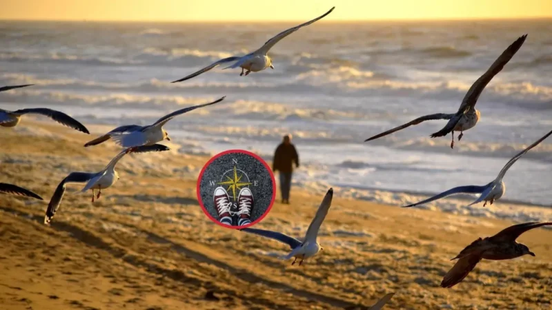 ¿Quieres una vida con propósito? La ciencia revela que la clave no es la felicidad, sino la esperanza vida