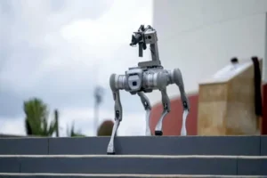 SSPCE justifica reserva de 5 años sobre costo de perros robot