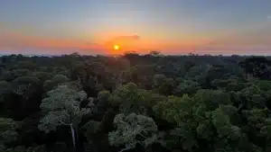 ¿Cuál es el origen de la Amazonía? Parte de la respuesta podría estar relacionada con el asteroide que acabó con los dinosaurios