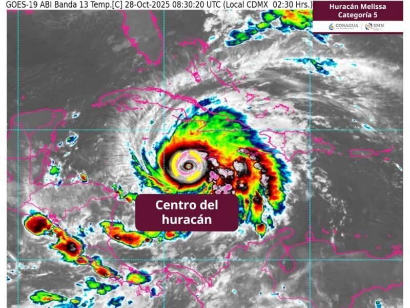 47035c37-f8d0-4df2-b454-d595993100fa