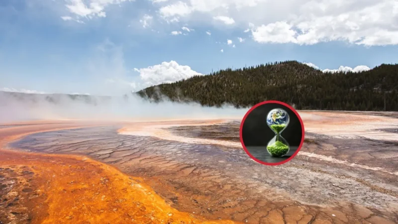 Diseno-sin-titulo-20