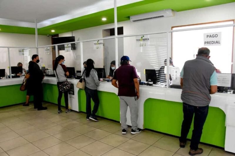 WhatsApp Image 2025-10-02 at 14.10.29