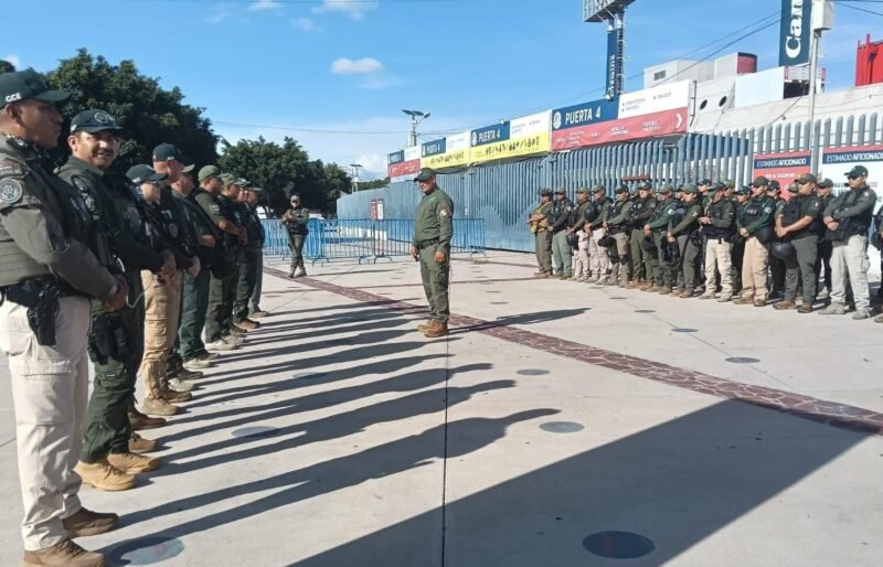 WhatsApp Image 2025-10-16 at 14.09.53