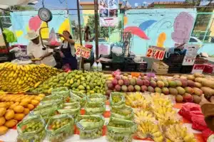 Inflación en México se desaceleró a 3.63% en la primera quincena de octubre
