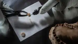 Cómo el ADN antiguo, desde los neandertales hasta la peste negra, ha transformado la arqueología