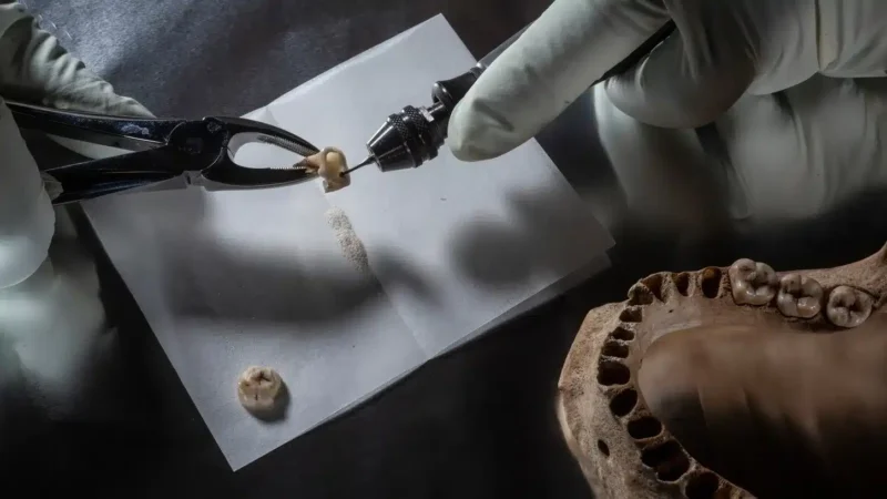 nationalgeographic2737213