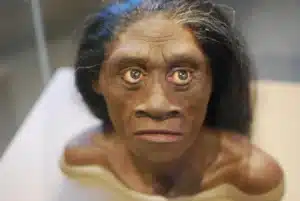 ¿Existió un ser humano del tamaño de un hobbit? Conoce al Homo floresiensis