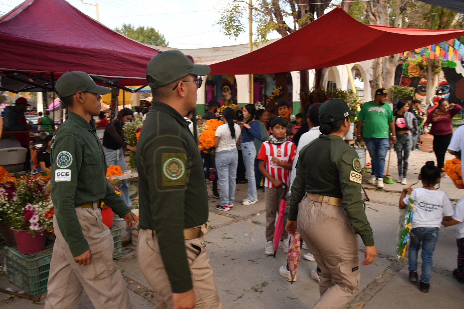dispositivo seguridad soledad
