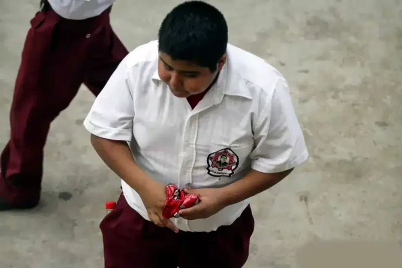 La OMS alerta sobre obesidad infantil: México entre los más afectados obesidad