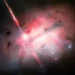 noirlabconceptgarlick