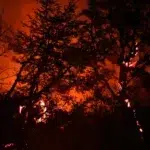 La Patagonia argentina enfrenta graves incendios y registra ya 45.000 hectáreas quemadas Patagonia-argentina-incendios-4