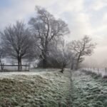 frentes frios en este 2026