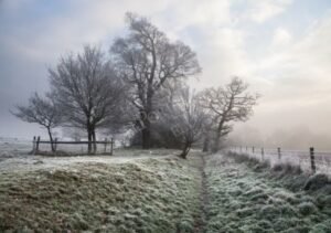 ¿Cuántos frentes fríos faltan en este 2026? y qué esperar en México