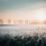 Abrígate el frío continuará en México durante la primera quincena de febrero-1