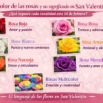 El color de las rosas y su significado en San Valentín lo que cada tono expresa este 14 de febrero