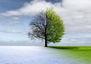 Febrero extremo en México: lo que anticipa el modelo europeo